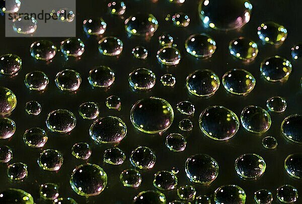 Water droplets on a black background. Macro shot