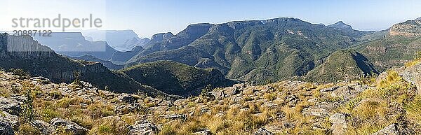 Panorama  view of the Blyde River gorge  Lowveld Viewpoint  in the evening light  canyon landscape  Blyde River Canyon  Panorama Route  Mpumalanga  South Africa  Africa