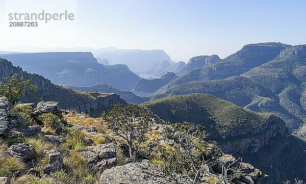 View of the Blyde River gorge  Lowveld Viewpoint  in the evening light  canyon landscape  Blyde River Canyon  Panorama Route  Mpumalanga  South Africa  Africa