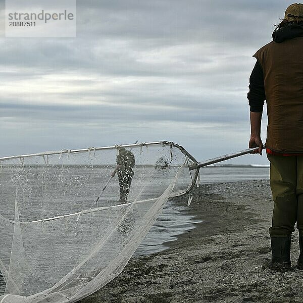 GREYMOUTH  NEW ZEALAND  OCTOBER 24  2019: A man is framed in a scoop net used for catching whitebait at the Taramakau River on the West Coast of the South Island