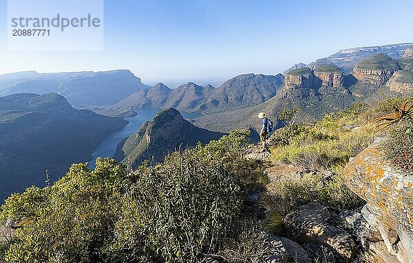 Tourist enjoying the view of the canyon  Blyde River Canyon with Three Rondawels peak  View of canyon with Blyde River and Table Mountains  Canyon landscape in the evening light  Three Rondavels Viewpoint  Panorama Route  Mpumalanga  South Africa  Africa