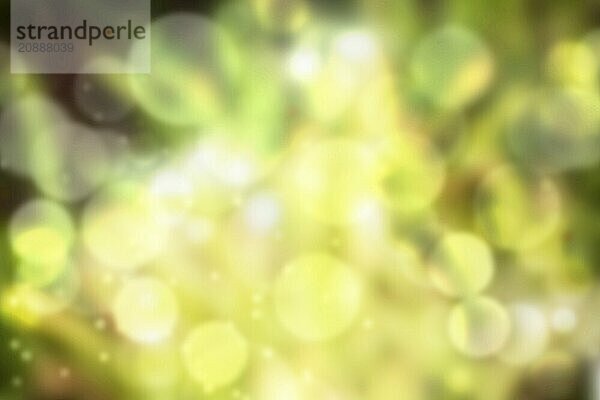 Abstract nature background  Image of green blurred garden background  De focused of Natural green leaf blurred background. Bokeh effect lighting