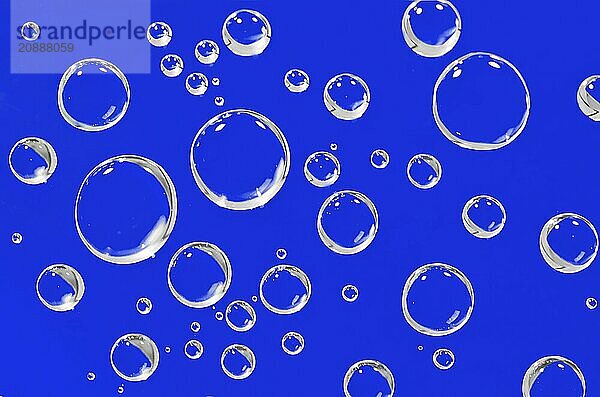 Water droplets on a blue background. Macro shot