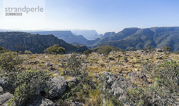 View of the Blyde River gorge  Lowveld Viewpoint  in the evening light  canyon landscape  Blyde River Canyon  Panorama Route  Mpumalanga  South Africa  Africa