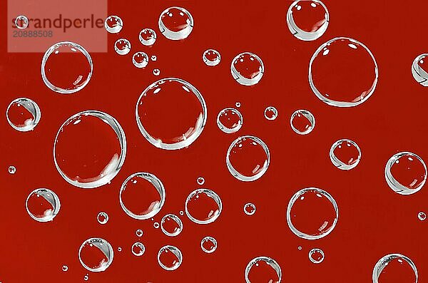 Water droplets on a red background. Macro shot