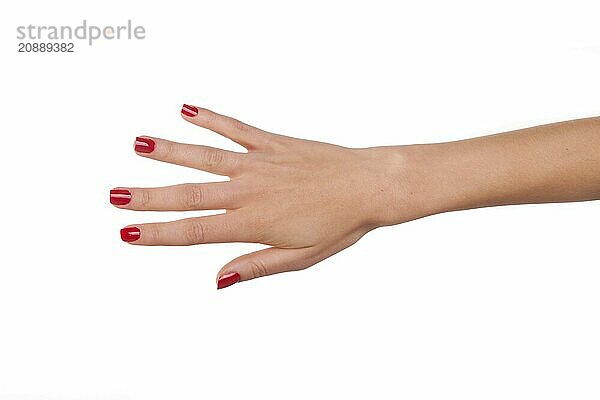 Woman hand. Isolated on white