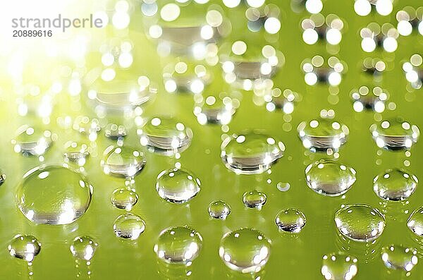 Morning dew on a green background. Macro shot