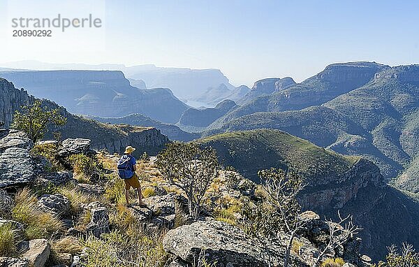 Tourist looking over canyon landscape  view of Blyde River gorge  Lowveld Viewpoint  in the evening light  Blyde River Canyon  Panorama Route  Mpumalanga  South Africa  Africa