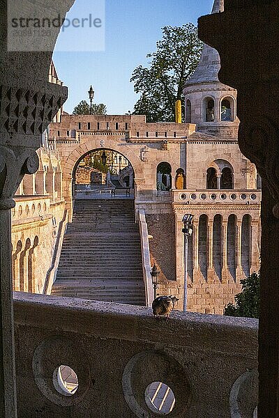 Old historic fortress and church at sunrise. City panorama at dusk. View of the Danube Fishermens Bastion  Halászbástya  Budapest  Hungary  Europe