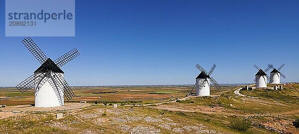 Several white windmills spread across a vast agricultural area under a clear blue sky  aerial view  Alcazar de San Juan  Ciudad Real  Castilla-La Mancha  Route of Don Quixote  Spain  Europe