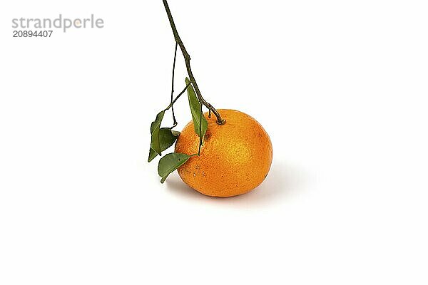 An orange fruit with orange leaves isolated on a white background