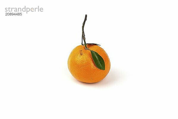 An orange fruit with orange leaves isolated on a white background