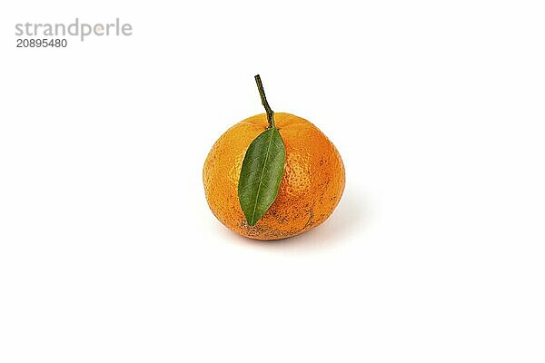 An orange fruit with orange leaves isolated on a white background