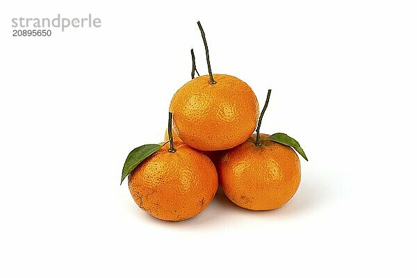 An orange fruit with orange leaves isolated on a white background