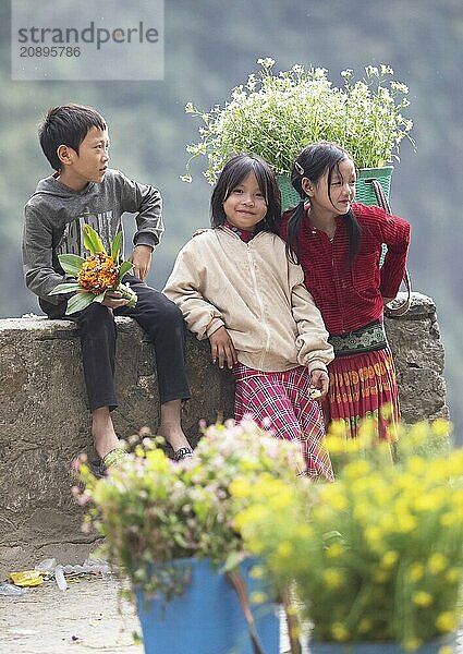 Vietnamese children selling flowers in the northern mountains  Ha Giang province  Vietnam  Asia