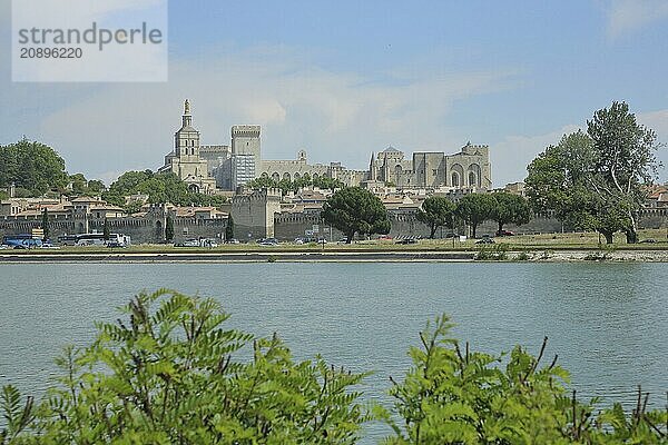 View over the Rhône to cityscape with papal palace and historic city wall  Rhone  Avignon  Vaucluse  Provence  France  Europe