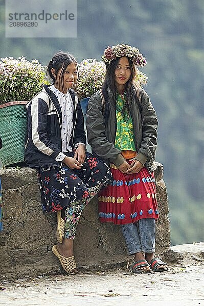 Vietnamese woman selling flowers in the northern mountains  Ha Giang province  Vietnam  Asia