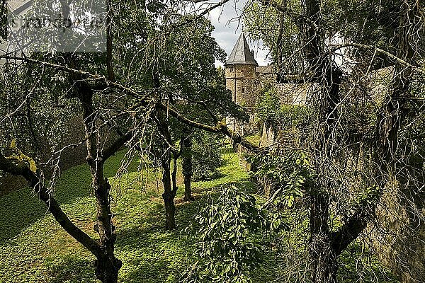 Friedberg Castle  southern castle fortifications with the deep moat  the so-called Hirschgraben  Friedberg  Hesse  Germany  Europe