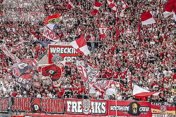 The football stadium of Rot-Weiß Essen  3rd league  stadium at the Hafenstraße  grandstand of the WAZ-Westkurve  called Alte West  home of the RWE fans  Ultras  the grandstand holds over 6600 visitors  Essen  North Rhine-Westphalia  Germany  Europe