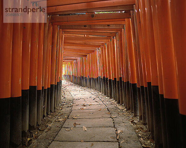 Japan. Kyoto. Fushimi Inari-Taisha shrine. Torii gates entrance.