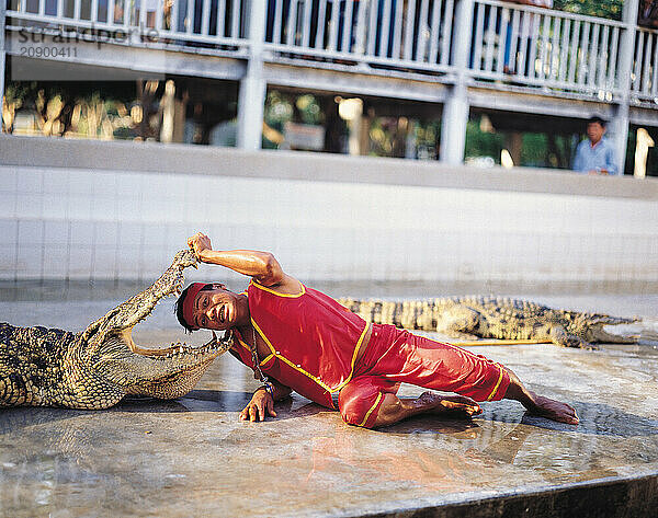 Thailand. Bangkok. Samphran Crocodile Farm. Man with head in Crocodile's mouth.