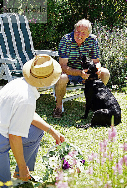 Senior couple with pet black labrador dog outdoors in garden.