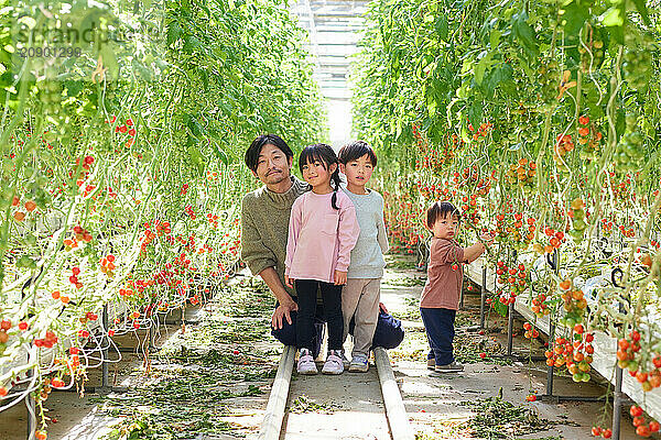 Asian family in a tomato greenhouse