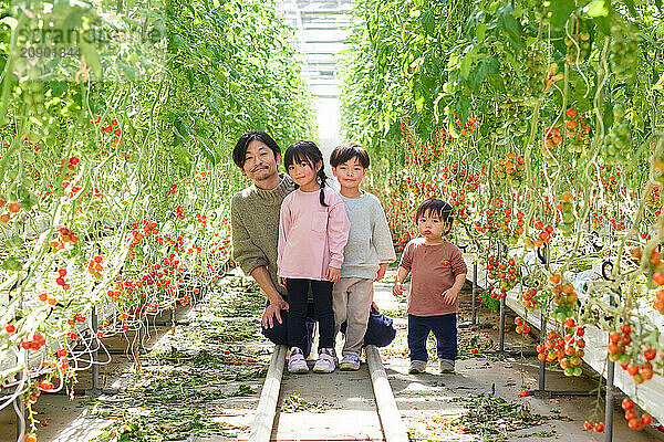 Asian family in a tomato greenhouse