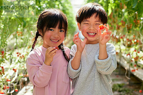 Asian kids in a tomato greenhouse