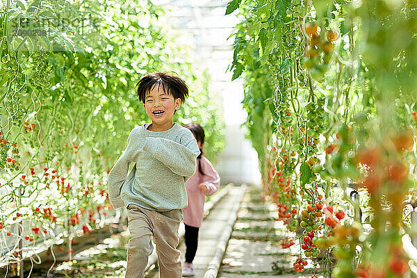 Asian kids in a tomato greenhouse