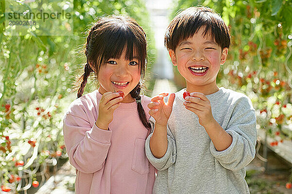 Asian kids in a tomato greenhouse