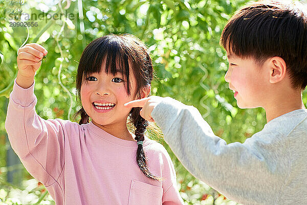 Asian kids in a tomato greenhouse