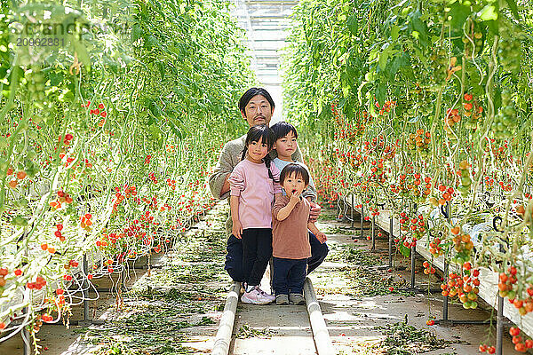 Asian family in a tomato greenhouse