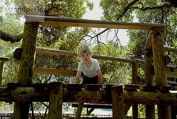 A young child with blonde hair peers curiously through wooden bars at a playground on a sunny day.