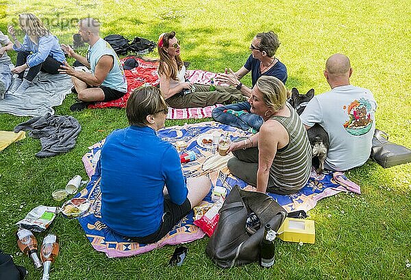 Friends enjoy a sunny picnic in the park with snacks and a dog on the grass.