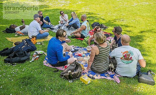 Group of friends enjoying a picnic on a sunny day in a grassy park with a dog.