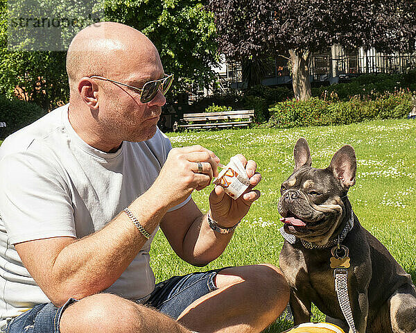 A bald man wearing sunglasses shares a light-hearted moment with his French Bulldog in a sunny park  both keenly focused on a treat.