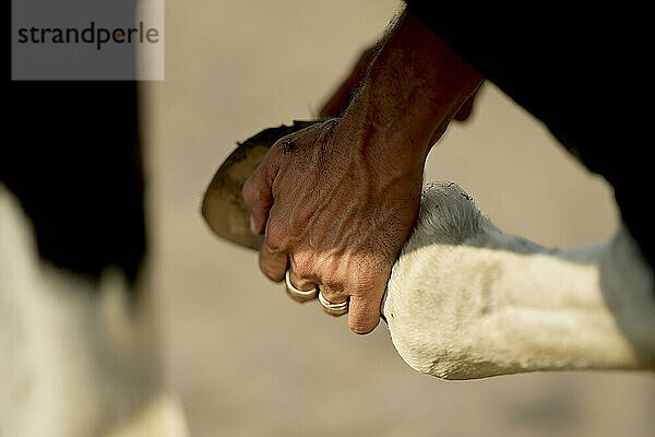 Close-up of two hands from different people warmly clasping each other in a handshake or greeting.