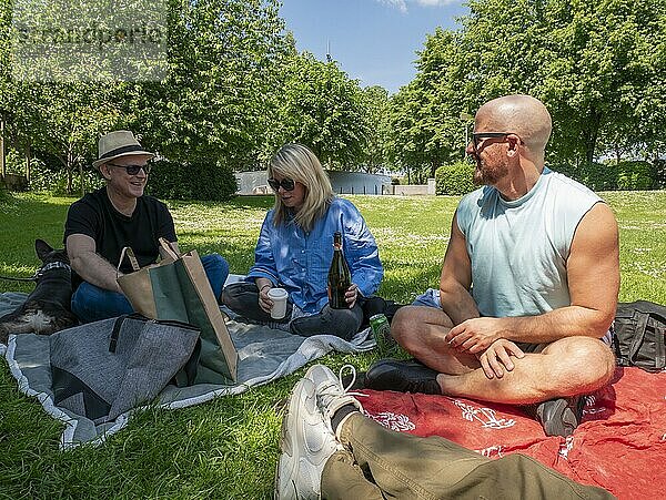 Three friends enjoy a sunny picnic in the park  sitting on blankets and engaging in a cheerful conversation.