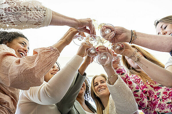 A group of people cheerfully toasting with champagne flutes at a celebratory gathering.