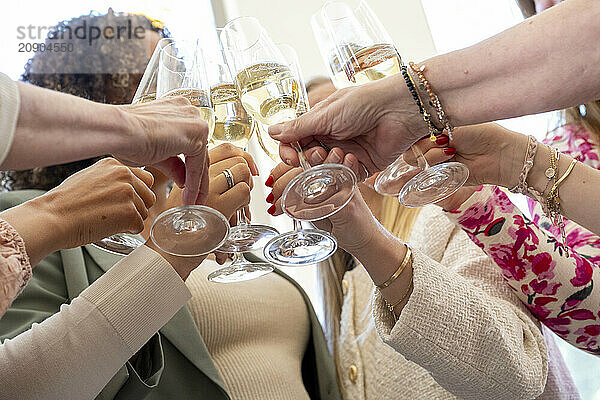 A group of people toasting with glasses of champagne  capturing the essence of celebration.