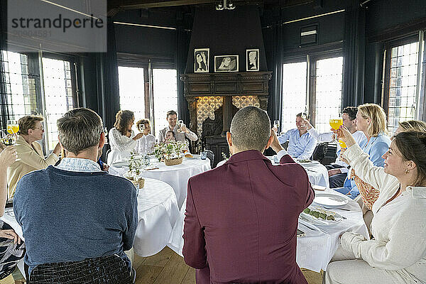 Group of friends enjoying a toast around a dining table in an elegant room with large windows and a fireplace.