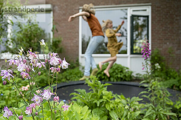 Two people enjoying jumping on a trampoline in a garden  with blooming flowers in the foreground.