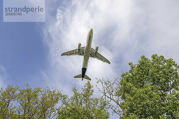 Aeroplane on approach shortly in front of landing at Frankfurt Airport  Fraport. The aeroplane as a silhouette above trees. Frankfurt am Main  Hesse  Germany  Europe