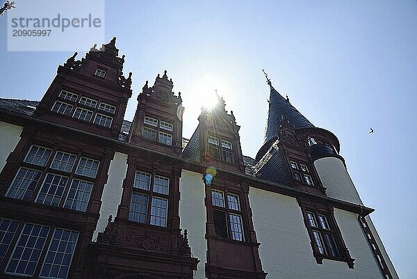 Europa  Deutschland  Mecklenburg-Vorpommern  Schloss Klink an der Müritz bei Waren  Schlosshotel  erbaut 1898  Gegenlicht  Waren  Mecklenburg-Vorpommern  Deutschland  Europa