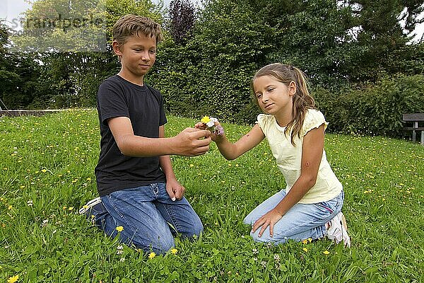 Kinder auf Blumenwiese  Junge  Mädchen  8  10  Jahre  Blume  Liebe  Freundschaft  Geschwister  Schwester  Bruder  Hamburg  Hamburg  Bundesrepublik Deutschland