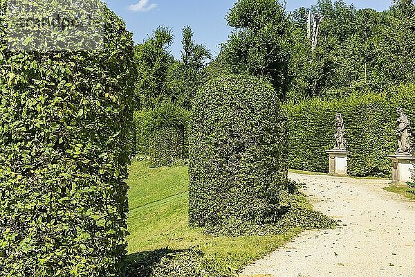 Der Barockgarten Großsedlitz mit dem Friedrichschlösschen liegt auf einer Anhöhe des linken Elbufers südöstlich von Dresden in Großsedlitz  das zur Stadt Heidenau im Freistaat Sachsen gehört. Die Bienenkörbe werden regelmäßig in Form geschnitten.  Barockgarten Großsedlitz  Heidenau  Sachsen  Deutschland  Europa