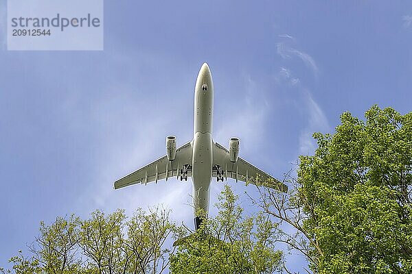 Aeroplane on approach shortly in front of landing at Frankfurt Airport  Fraport. The aeroplane as a silhouette above trees. Frankfurt am Main  Hesse  Germany  Europe