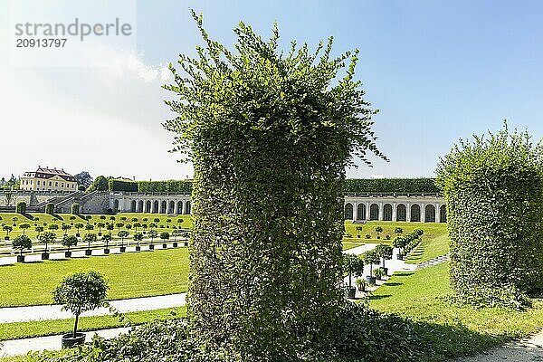 Der Barockgarten Großsedlitz mit dem Friedrichschlösschen liegt auf einer Anhöhe des linken Elbufers südöstlich von Dresden in Großsedlitz  das zur Stadt Heidenau im Freistaat Sachsen gehört. Die Bienenkörbe werden regelmäßig in Form geschnitten.  Barockgarten Großsedlitz  Heidenau  Sachsen  Deutschland  Europa