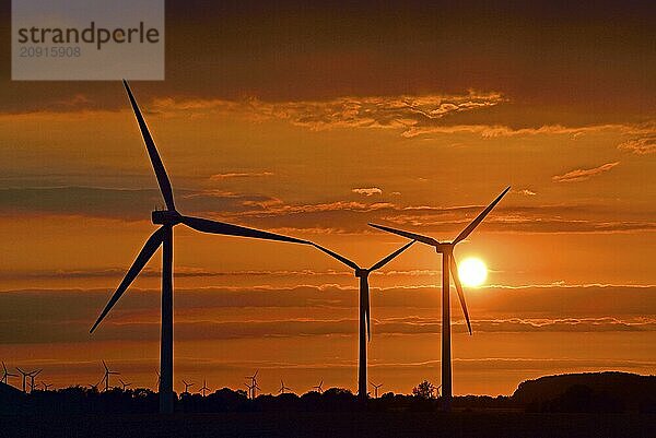 Europa  Deutschland  Niedersachsen  Windpark  Stromerzeugung  Sonnenuntergang  Windräder  Windrad  alternative Energien  Sonnenuntergang  Hamburg  Hamburg  Bundesrepublik Deutschland  Europa